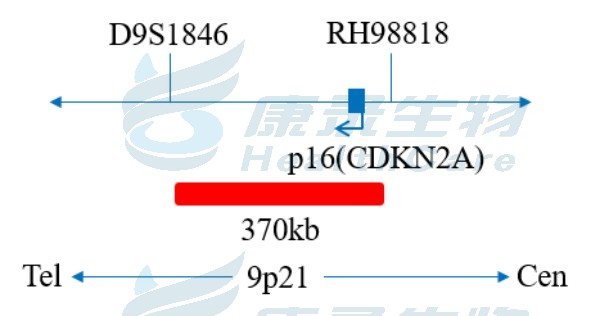 中国·拉斯维加斯(3499·官方认证)网站-Officialwebsite