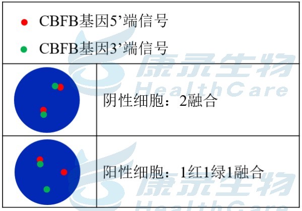 中国·拉斯维加斯(3499·官方认证)网站-Officialwebsite