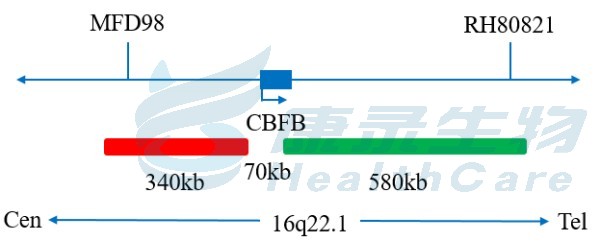 中国·拉斯维加斯(3499·官方认证)网站-Officialwebsite