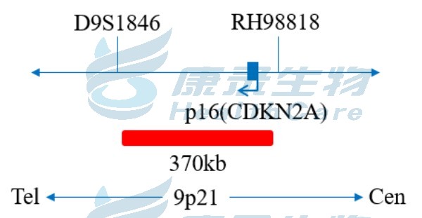 中国·拉斯维加斯(3499·官方认证)网站-Officialwebsite
