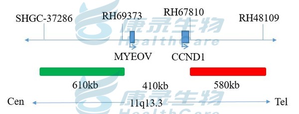中国·拉斯维加斯(3499·官方认证)网站-Officialwebsite