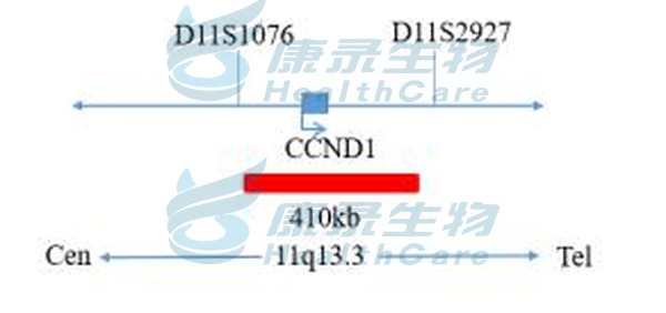 中国·拉斯维加斯(3499·官方认证)网站-Officialwebsite