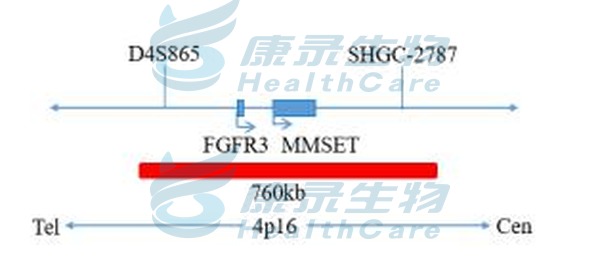 中国·拉斯维加斯(3499·官方认证)网站-Officialwebsite