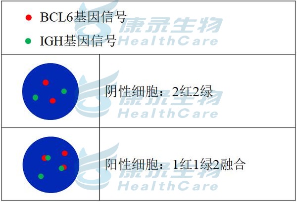 中国·拉斯维加斯(3499·官方认证)网站-Officialwebsite