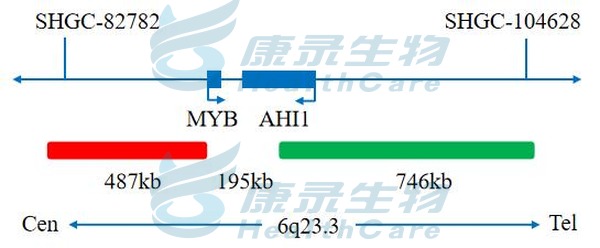 中国·拉斯维加斯(3499·官方认证)网站-Officialwebsite