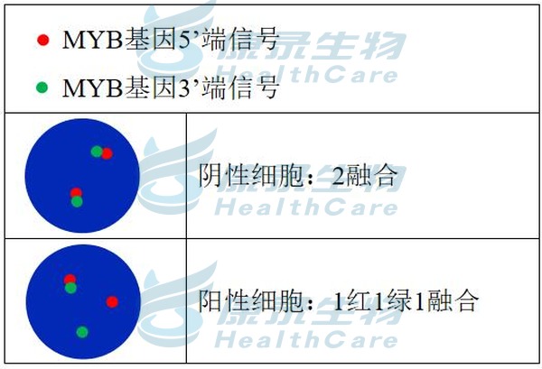 中国·拉斯维加斯(3499·官方认证)网站-Officialwebsite