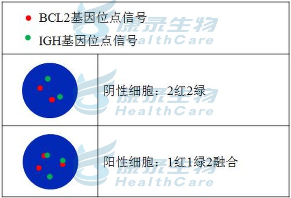 中国·拉斯维加斯(3499·官方认证)网站-Officialwebsite