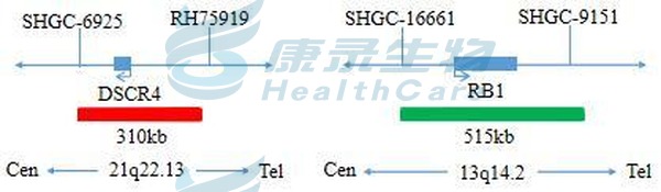 中国·拉斯维加斯(3499·官方认证)网站-Officialwebsite