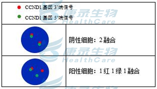 中国·拉斯维加斯(3499·官方认证)网站-Officialwebsite