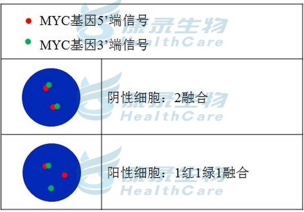 中国·拉斯维加斯(3499·官方认证)网站-Officialwebsite