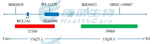 中国·拉斯维加斯(3499·官方认证)网站-Officialwebsite