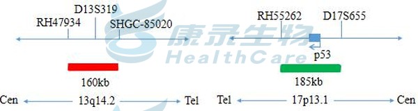 中国·拉斯维加斯(3499·官方认证)网站-Officialwebsite