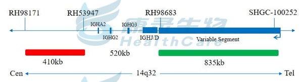 中国·拉斯维加斯(3499·官方认证)网站-Officialwebsite