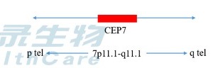 中国·拉斯维加斯(3499·官方认证)网站-Officialwebsite