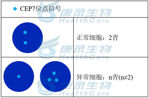 中国·拉斯维加斯(3499·官方认证)网站-Officialwebsite