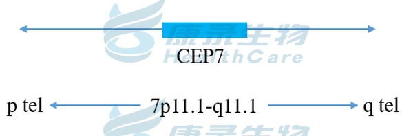 中国·拉斯维加斯(3499·官方认证)网站-Officialwebsite