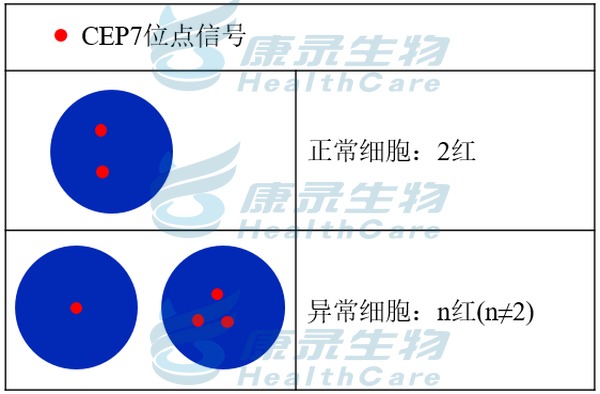 中国·拉斯维加斯(3499·官方认证)网站-Officialwebsite