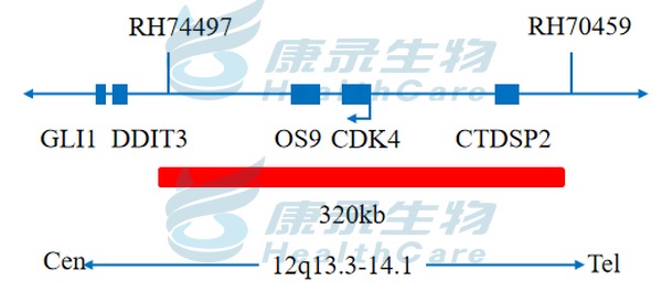 中国·拉斯维加斯(3499·官方认证)网站-Officialwebsite
