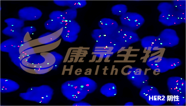 中国·拉斯维加斯(3499·官方认证)网站-Officialwebsite