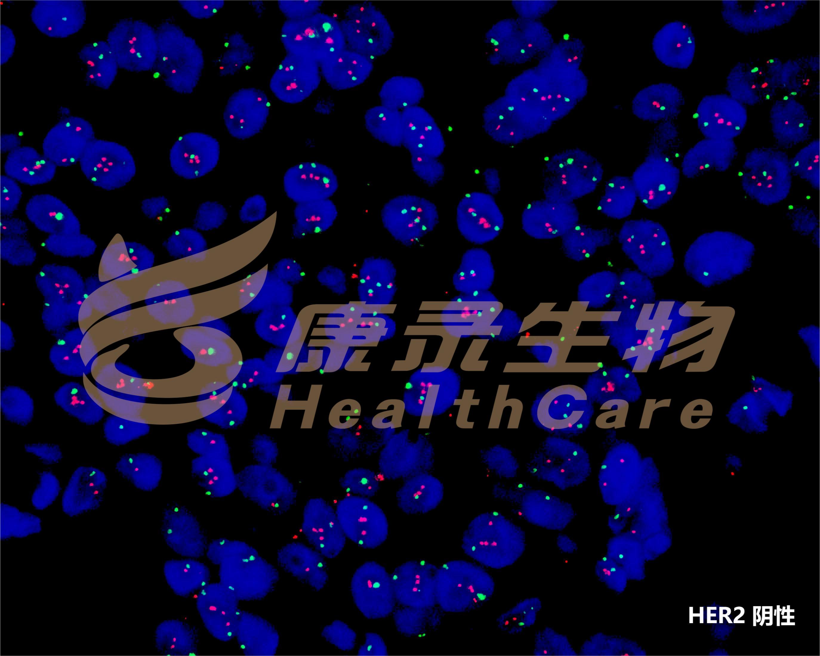 中国·拉斯维加斯(3499·官方认证)网站-Officialwebsite