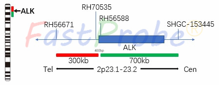 中国·拉斯维加斯(3499·官方认证)网站-Officialwebsite