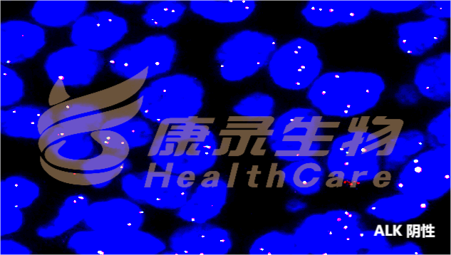 中国·拉斯维加斯(3499·官方认证)网站-Officialwebsite