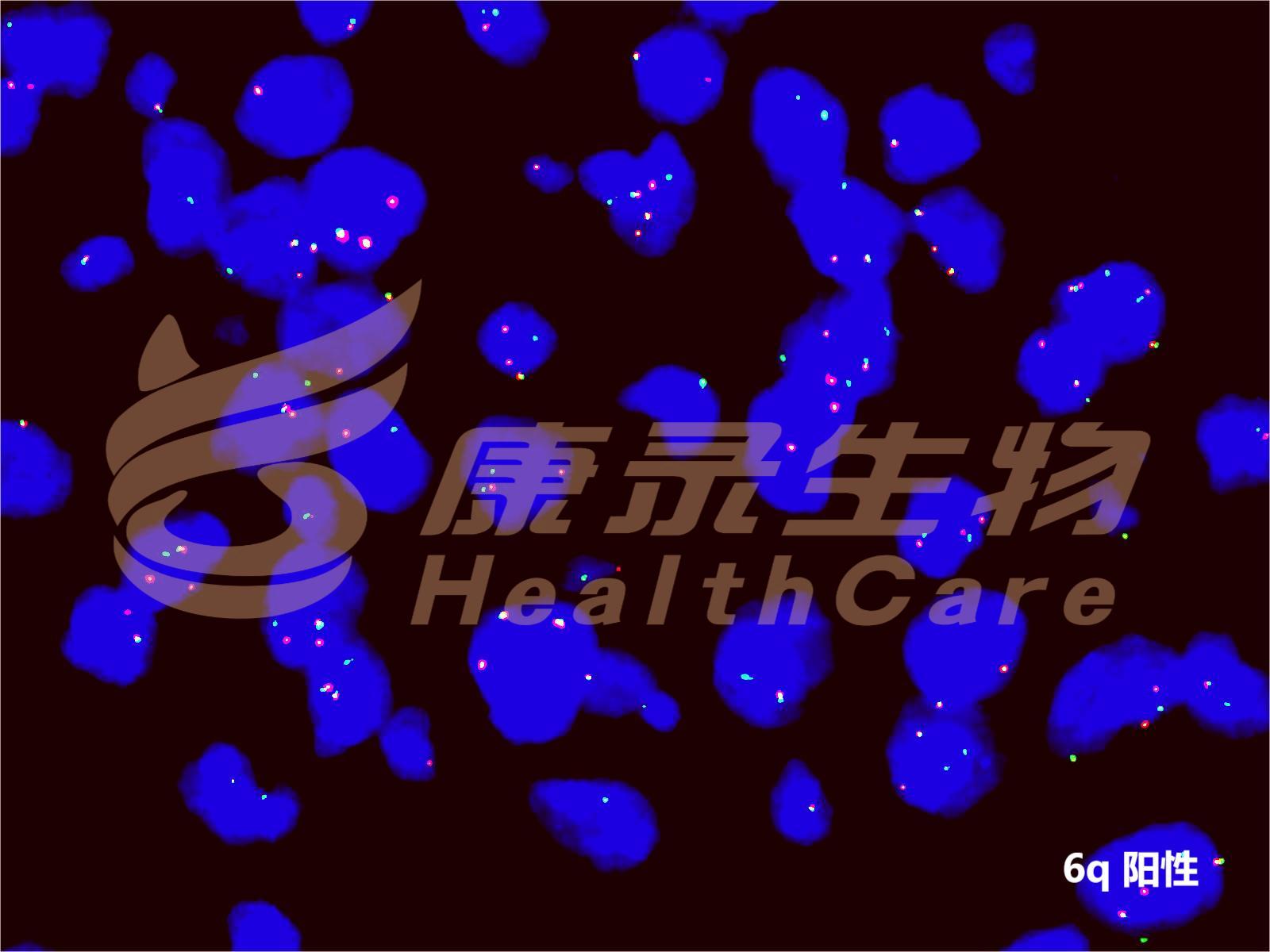 中国·拉斯维加斯(3499·官方认证)网站-Officialwebsite