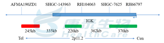 中国·拉斯维加斯(3499·官方认证)网站-Officialwebsite
