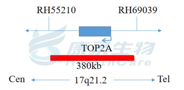 中国·拉斯维加斯(3499·官方认证)网站-Officialwebsite