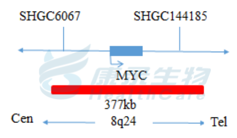 中国·拉斯维加斯(3499·官方认证)网站-Officialwebsite