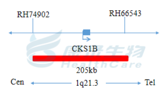 中国·拉斯维加斯(3499·官方认证)网站-Officialwebsite