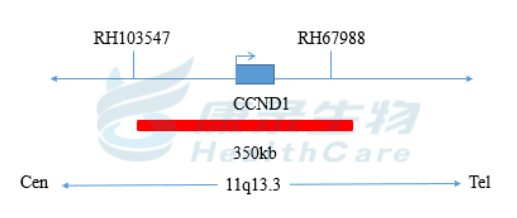中国·拉斯维加斯(3499·官方认证)网站-Officialwebsite