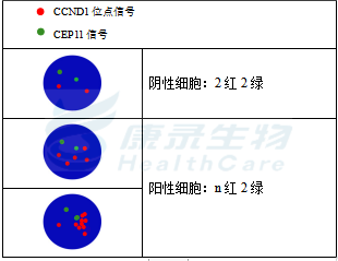 中国·拉斯维加斯(3499·官方认证)网站-Officialwebsite