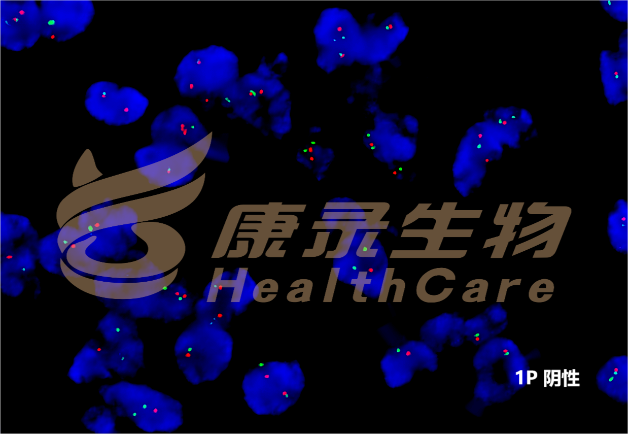 中国·拉斯维加斯(3499·官方认证)网站-Officialwebsite