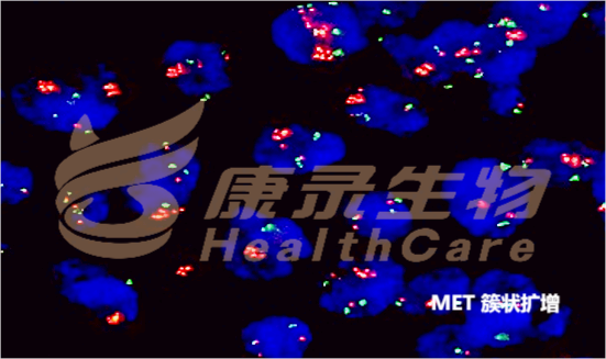 中国·拉斯维加斯(3499·官方认证)网站-Officialwebsite