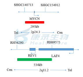 中国·拉斯维加斯(3499·官方认证)网站-Officialwebsite