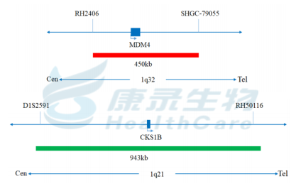 中国·拉斯维加斯(3499·官方认证)网站-Officialwebsite