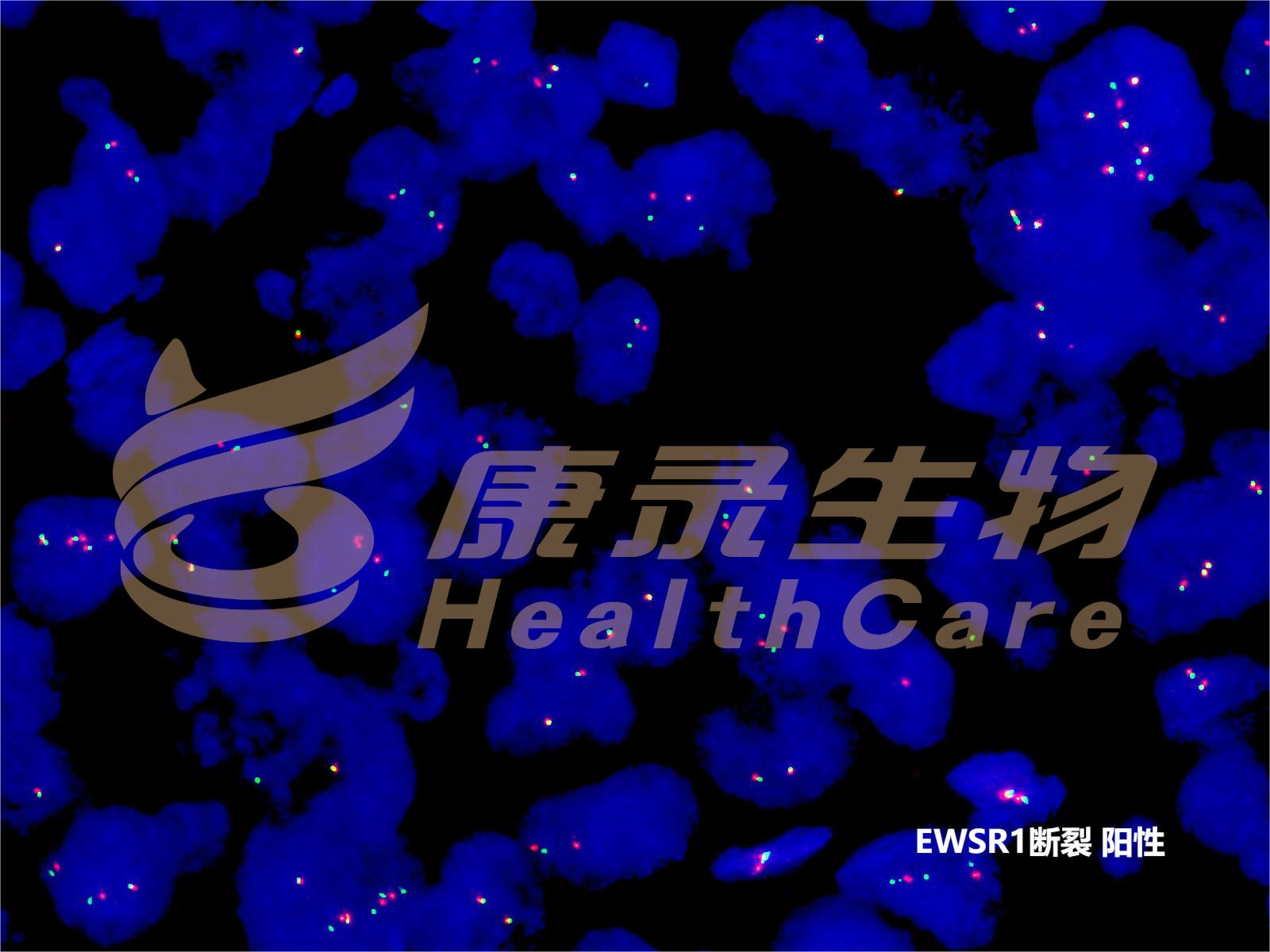 中国·拉斯维加斯(3499·官方认证)网站-Officialwebsite