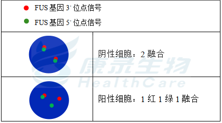 中国·拉斯维加斯(3499·官方认证)网站-Officialwebsite