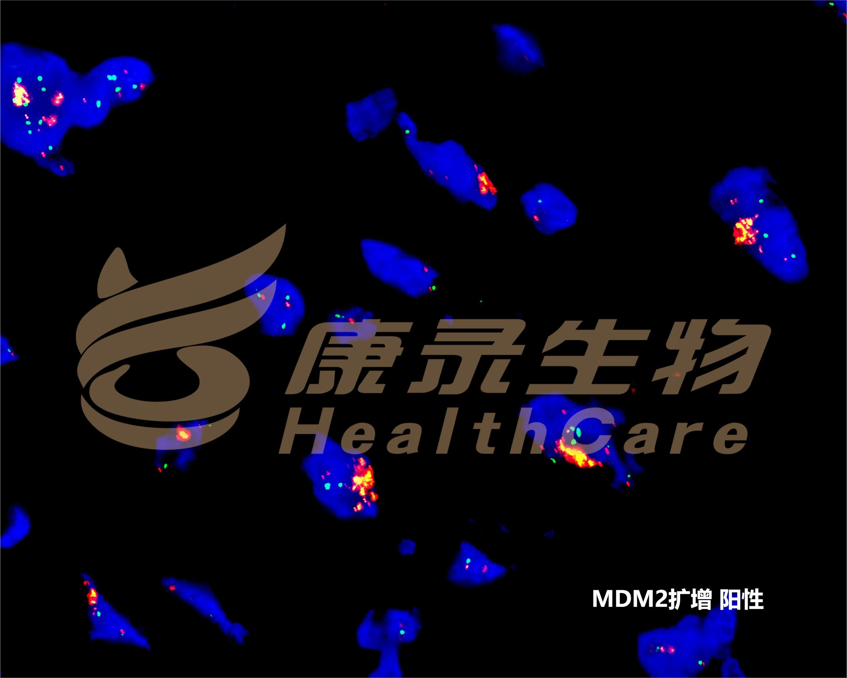 中国·拉斯维加斯(3499·官方认证)网站-Officialwebsite