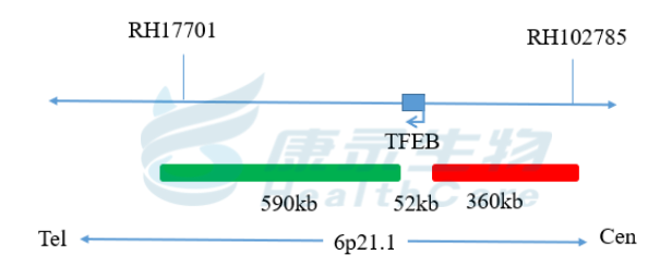 中国·拉斯维加斯(3499·官方认证)网站-Officialwebsite