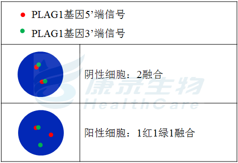 中国·拉斯维加斯(3499·官方认证)网站-Officialwebsite