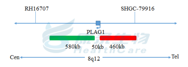 中国·拉斯维加斯(3499·官方认证)网站-Officialwebsite