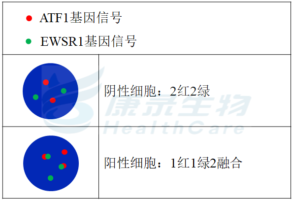 中国·拉斯维加斯(3499·官方认证)网站-Officialwebsite