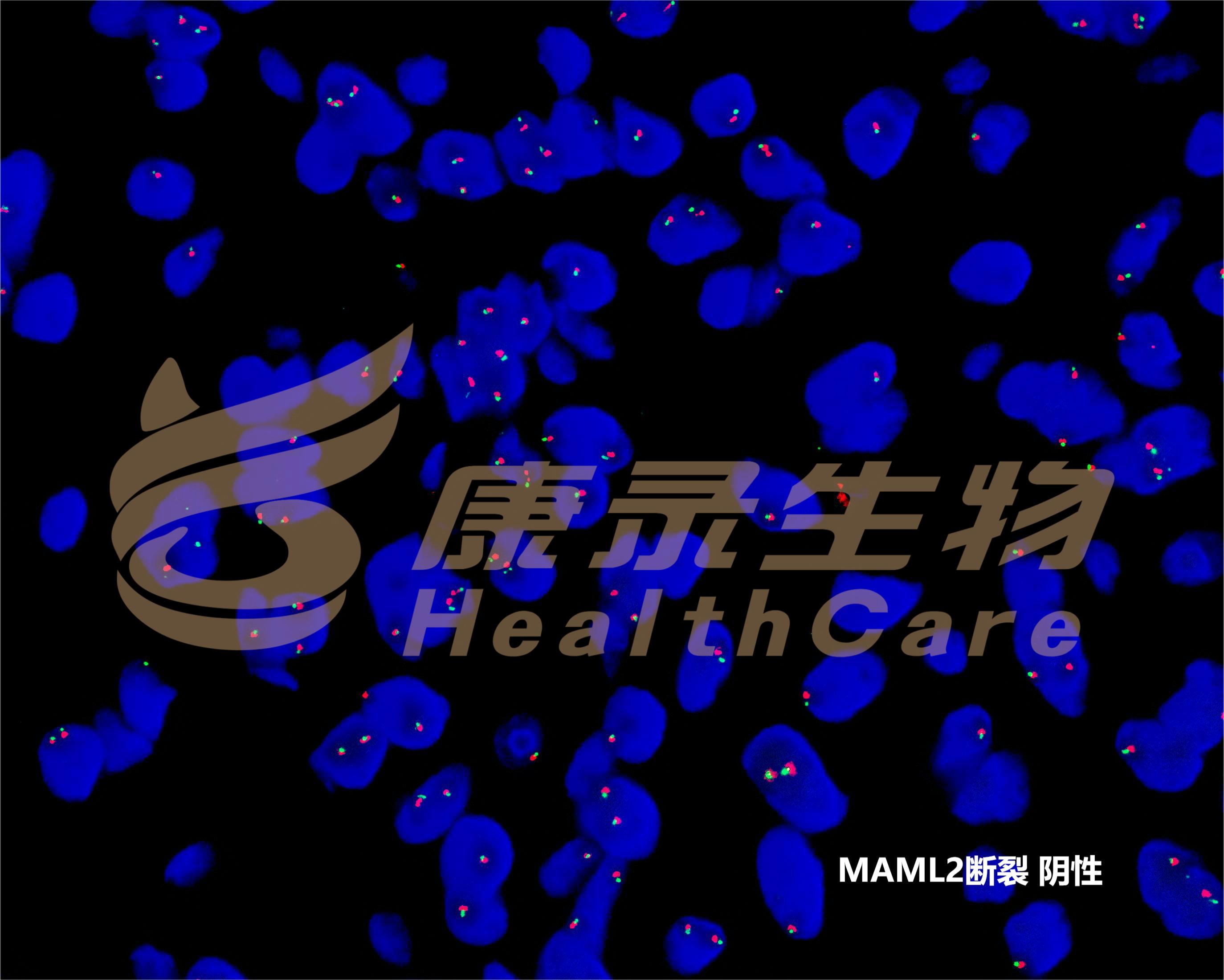 中国·拉斯维加斯(3499·官方认证)网站-Officialwebsite