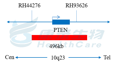 中国·拉斯维加斯(3499·官方认证)网站-Officialwebsite