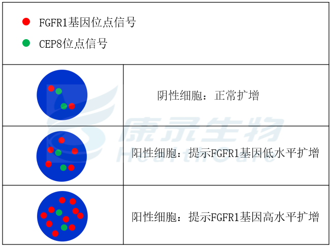 中国·拉斯维加斯(3499·官方认证)网站-Officialwebsite