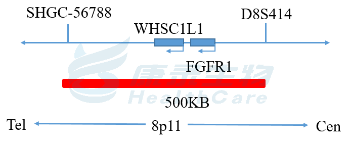 中国·拉斯维加斯(3499·官方认证)网站-Officialwebsite