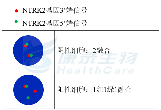 中国·拉斯维加斯(3499·官方认证)网站-Officialwebsite