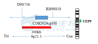 中国·拉斯维加斯(3499·官方认证)网站-Officialwebsite